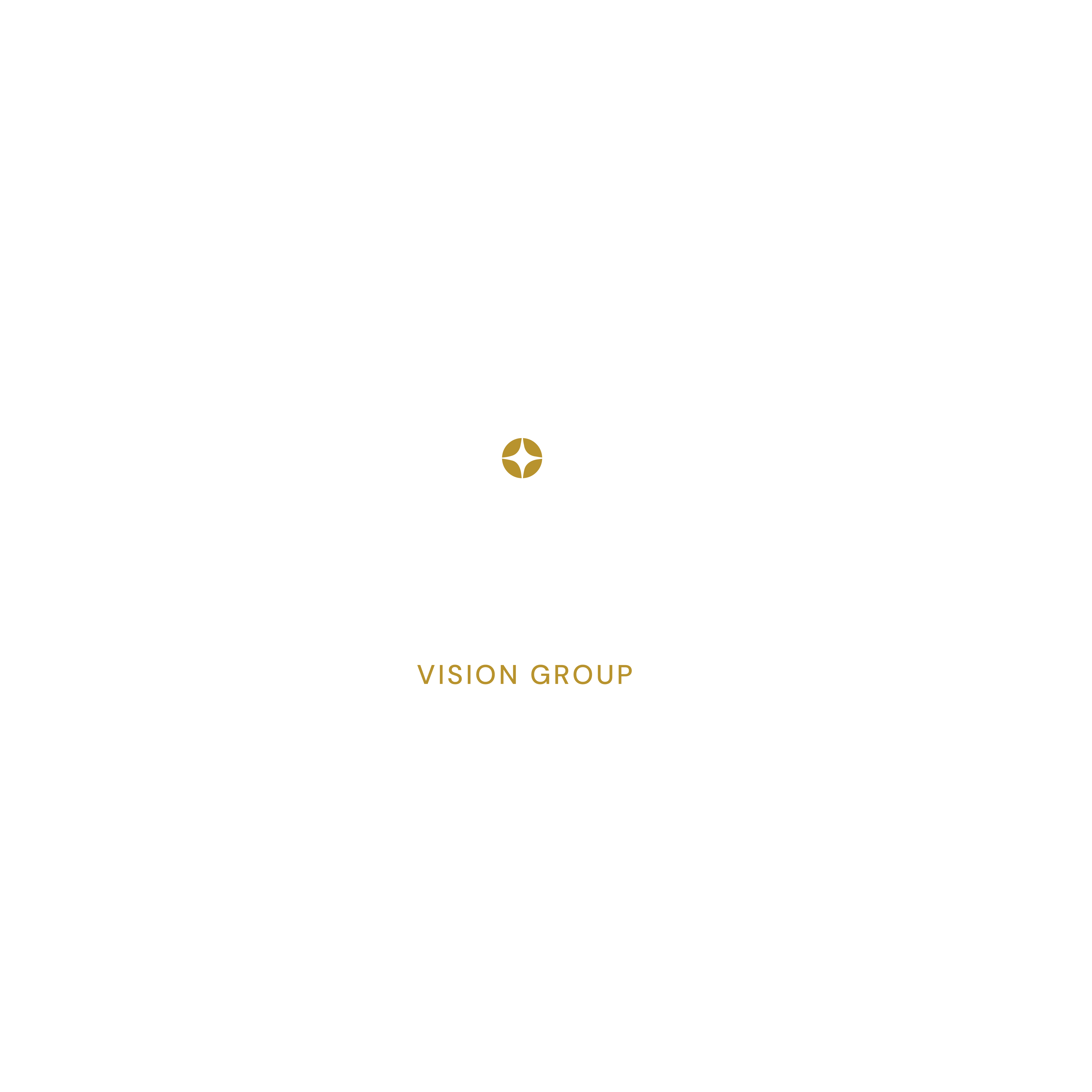 Diamond Vision Group Logo